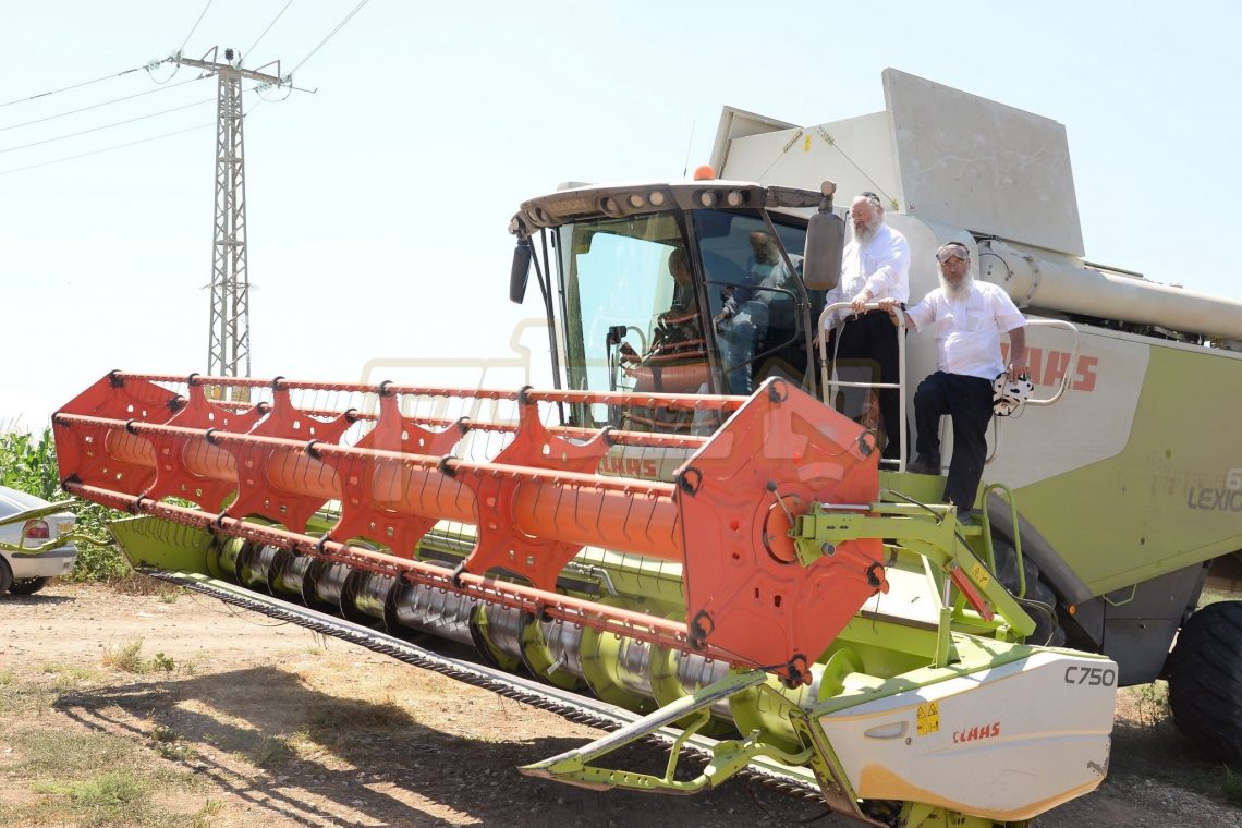 Main image for גאב"ד זכרון מאיר שליט"א און גאב"ד בני ברק שליט"א ביי קצירת חיטים