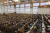 חברת תהילים עשרה בטבת אין קרית יואל