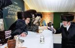 Full gallery of the Pupa Rebbi's trip to mekomois hakodesh 