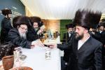 Full gallery of the Pupa Rebbi's trip to mekomois hakodesh 
