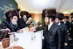 Full gallery of the Pupa Rebbi's trip to mekomois hakodesh 