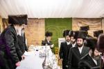 Full gallery of the Pupa Rebbi's trip to mekomois hakodesh 