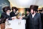 Full gallery of the Pupa Rebbi's trip to mekomois hakodesh 
