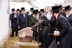 Full gallery of the Pupa Rebbi's trip to mekomois hakodesh 
