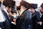 Full gallery of bobov wedding