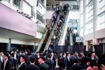 Full picture gallery of the historic Adirei Hatorah event 