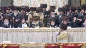 Main image for First pictures of Tosh/Toldos Aaron wedding 