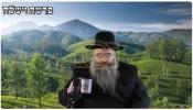 Main image for R' avrohom mordechai Malach; shiur on Parshas vayishlach