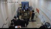Main image for Williamsburg shomrim caught a person red-handed stealing tefillin from Beis Medrish Satmar on Clymer St.