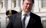 Main image for Elon Musk; there will be no starlink internet over Gaza without Israeli permission. 