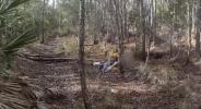 Main image for Florida Deputies Rescue Missing Man After Four-Day Search.