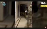 Moment senior Ukraine traitor CAUGHT after sending war secrets to Putin