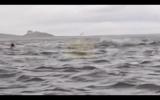 Main image for Kayaker Survives After Being 'Swallowed' and Spit Out by Humpback Whale Off Chilean Coast
