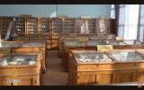 Ukraine's rare earth minerals caught in war, Russian control and global power struggles