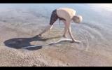Seaside Visitors were shocked to find a rarely seen oarfish swimming in the shallow waters of Mexico.