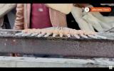 Palestinian businesses try to revive amid Gaza devastation