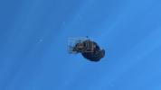 Main image for Scary deep-sea fish spotted swimming in shallow waters off coast of Africa.