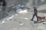 Peru mall collapse: 6 dead, dozens injured after shopping centre roof caves in.