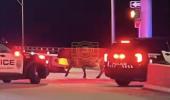 Main image for Cow on the loose causes chaos on Florida interstate