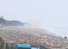 Main image for A Spectacle of Nature: Mass Turtle Nesting Event Unfolds in Odisha