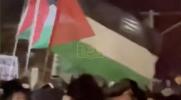 Main image for Anti-Israel protest erupts into mayhem in Orthodox Jewish neighborhood in NYC