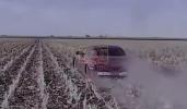 Main image for BREAKING: An exclusive video was released of two illegal migrants involved in a high speed chase outside of the sanctuary city Chicago!