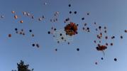 Main image for Orange Balloons Fill Jerusalem Sky in Tribute to Bibas Children