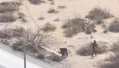 Main image for Exclusive Catches border Smuggling Operation in action
