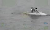 Main image for US Cost Guard Rescues Three Boaters After Capsizing Off Florida's Captiva Island