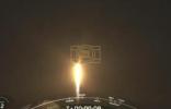 Main image for SpaceX Successfully Launches NASA's SPHEREx Telescope