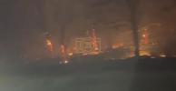 Main image for Heartbreaking Scenes as Blazes Spread: Wildfires Force Deer to Flee in Oklahoma