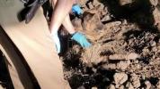 Main image for Police Save Dog Found tied up and Buried Alive in Rancagua, Chile. 