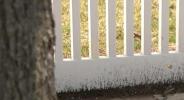 Main image for A Nassau County Man was Arrested for Firing at Alleged Vandals from His Driveway