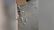 Main image for Insane Texas Hail Storm Shatters Windows