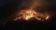 Main image for Wildfires Kill 18 in Southern South Korea