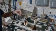 Main image for NASA Astronaut Shows How to Sip Coffee in Zero Gravity