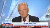 Main image for Peter Navarro Touts Trump Tariffs' Success &ndash; 'Time to Take Back Our Manufacturing Capability