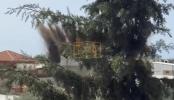 Main image for Shocking Video Captures Gaza Blast Power as Israel's Offensive Intensifies