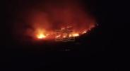 Main image for 40 Acres of Rare Heathland Destroyed in Suspicious Wildfire.
