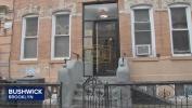 Main image for 3 Children Rescued from Disturbing Condition in Bushwick