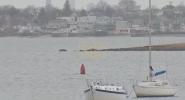 Main image for Fordham University Crew Team Rescued After Boat Capsizes in Eastchester Bay
