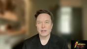 Main image for Elon Musk Hopes for Zero Tariffs between U.S. and Europe.