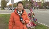 Main image for Brooklyn Crash Driver Denies Guilt in Fatal Collision.