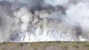 Main image for Video Reveals Devastation From New Jersey Wildfires.