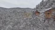 Main image for Drone Footage Captures Stunning Landscape in Eastern Kentucky.