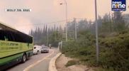 Main image for Wildfire Rage in Central Israel.