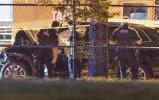 Main image for 9 Dead and a Dozen Injured by a Black SUV that Plowed into Vancouver Festival Crowd. 
