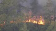 Main image for New Jersey Wildfire Spreads, Forces Evacuations.
