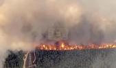 Main image for Mandatory Evacuations as Wildfire Rages in Ocean County, NJ.