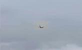 Main image for Plane Makes Emergency landing After Suspected Rabbit Strike